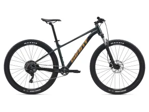 Bicykel GIANT TALON 2 29" 2025