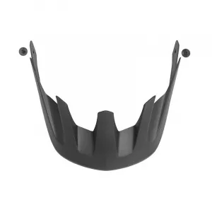Náhradný šilt TSG SEEK VISOR ABS
