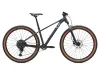 Dámsky bicykel LIV TEMPT 1 29" 2025