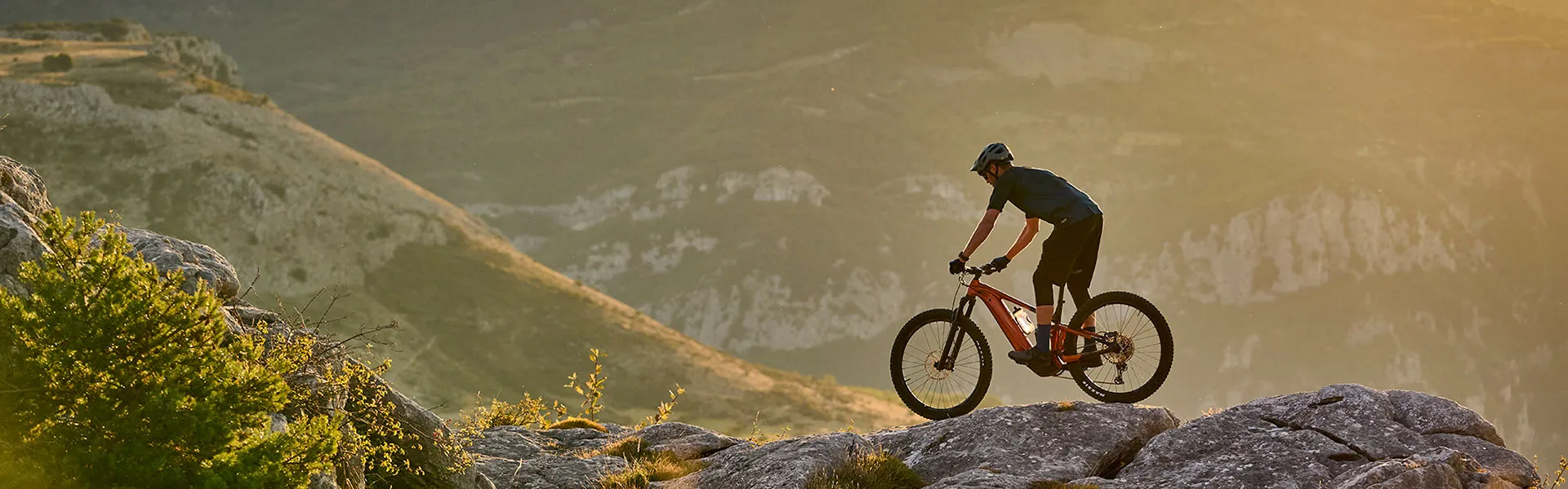 Giant elektrobicykle